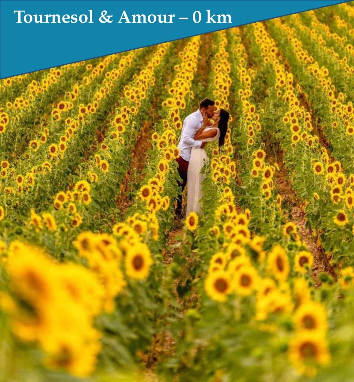Pyramidhome By Les Bastidons De L'Isle Dış mekan fotoğraf
